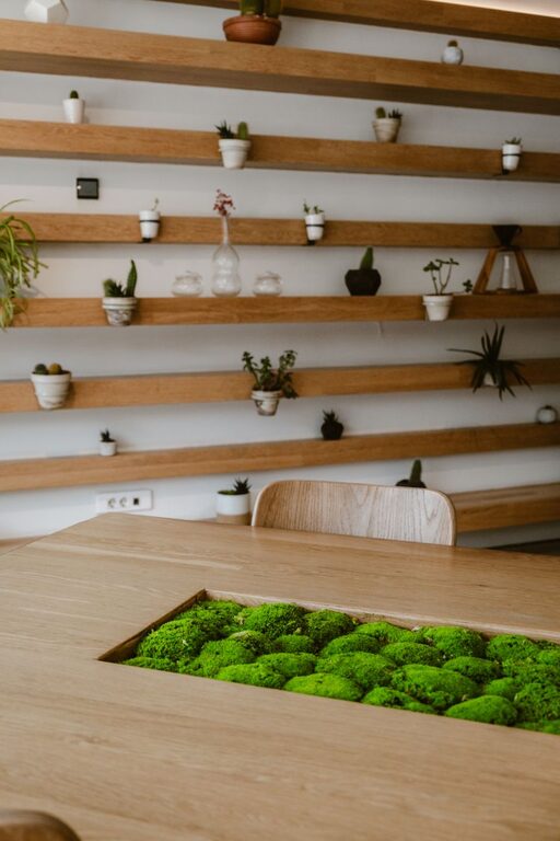 Practical Tips for Creating a Sustainable and Eco-Friendly Home Environment